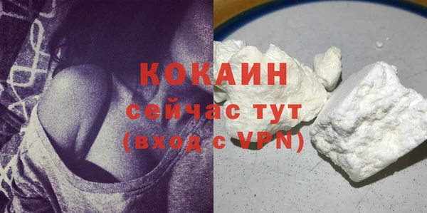 PSILOCYBIN Пересвет
