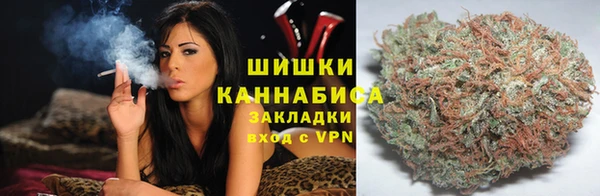 PSILOCYBIN Пересвет
