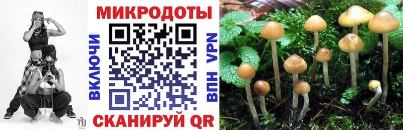 Псилоцибиновые грибы Psilocybine cubensis  Купить  Учалы 